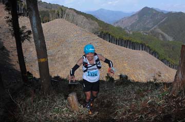 hase30k2012_0009