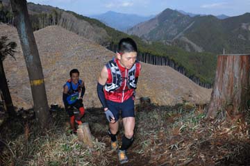hase30k2012_0017