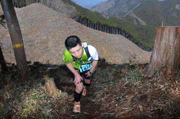 hase30k2012_0024