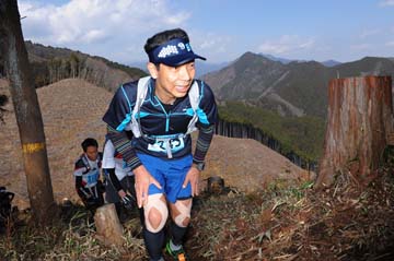 hase30k2012_0212
