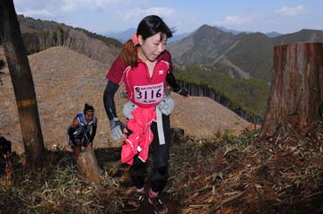 hase30k2012_0244