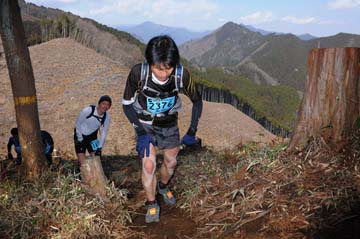 hase30k2012_0299