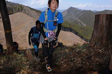 hase30k2012_0318