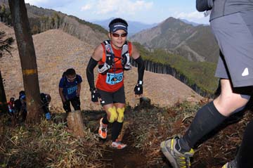 hase30k2012_0328