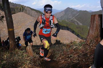 hase30k2012_0329