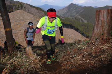 hase30k2012_0392