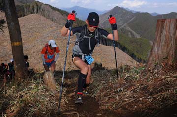 hase30k2012_0408