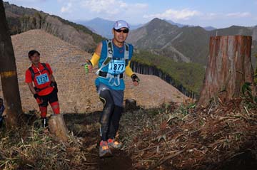 hase30k2012_0416