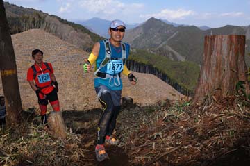 hase30k2012_0417