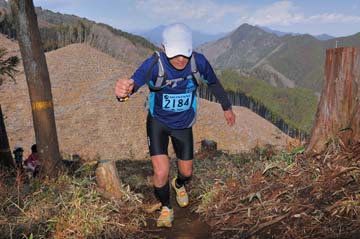hase30k2012_0530