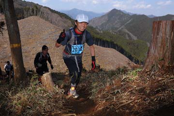 hase30k2012_0736