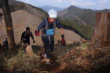 hase30k2012_0737