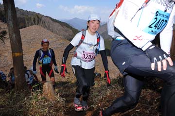 hase30k2012_0961
