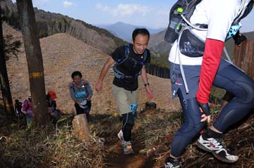 hase30k2012_0965
