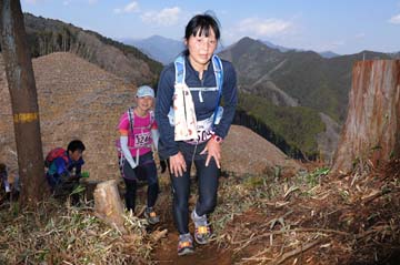 hase30k2012_1018