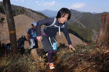 hase30k2012_1039