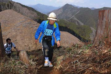 hase30k2012_1130