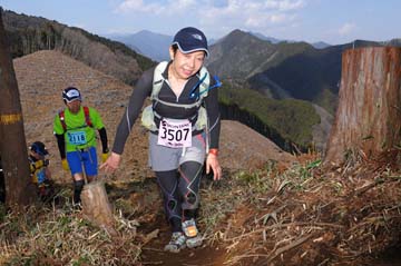 hase30k2012_1191
