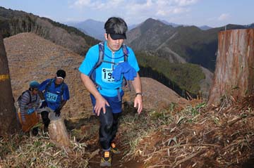 hase30k2012_1196