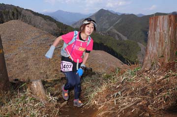 hase30k2012_1200
