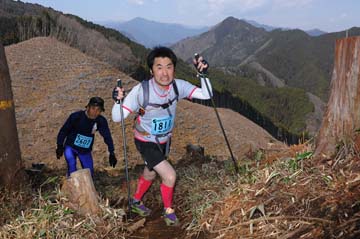 hase30k2012_1230