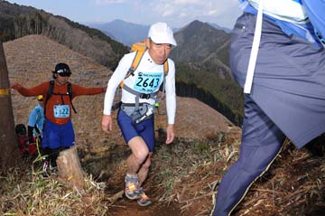 hase30k2012_1313