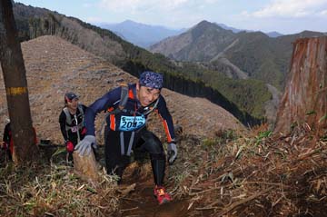 hase30k2012_1619