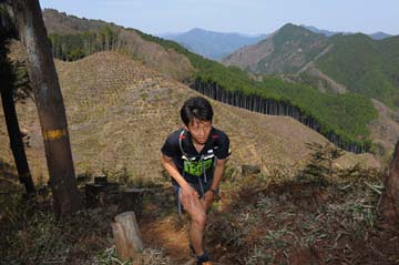 hase30k2013_0027