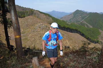 hase30k2013_0031