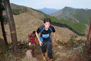 hase30k2013_0037