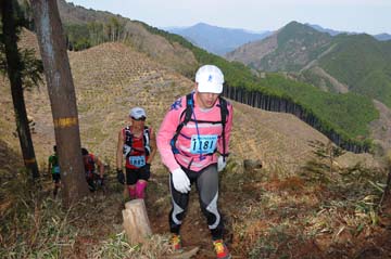 hase30k2013_0089