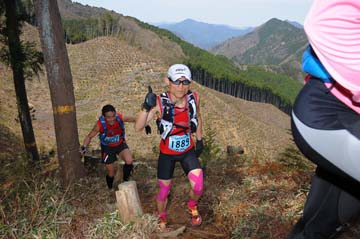 hase30k2013_0090