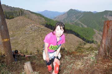 hase30k2013_0194