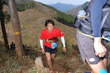 hase30k2013_0241