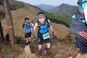 hase30k2013_0259
