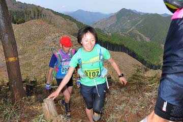 hase30k2013_0312