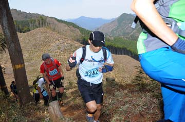 hase30k2013_0357