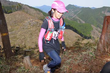 hase30k2013_0370
