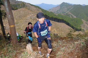 hase30k2013_0390