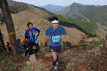 hase30k2013_0442