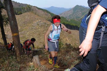 hase30k2013_0458
