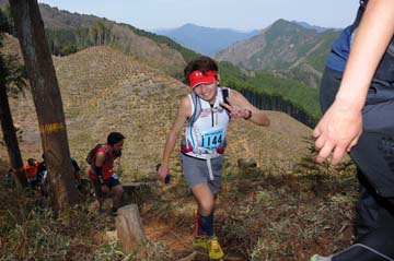hase30k2013_0459