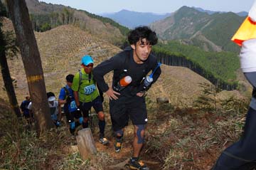 hase30k2013_0473