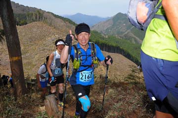 hase30k2013_0477