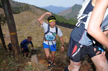 hase30k2013_0479