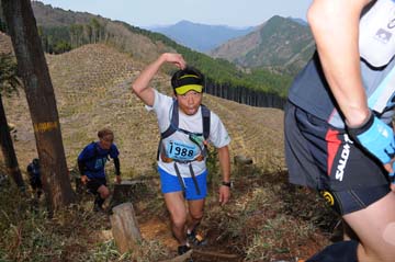 hase30k2013_0480