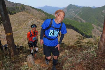 hase30k2013_0482