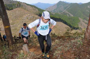 hase30k2013_0488