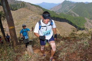 hase30k2013_0490
