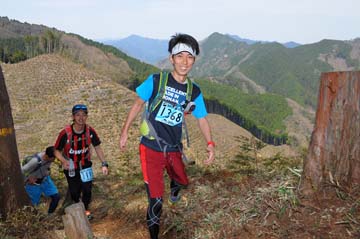hase30k2013_0493